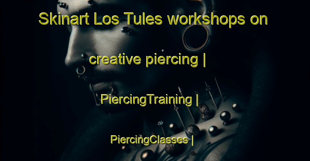 Skinart Los Tules workshops on creative piercing | PiercingTraining | PiercingClasses | SkinartTraining-Mexico